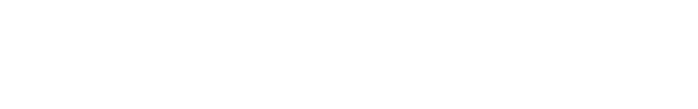 Logo desenvolvedor